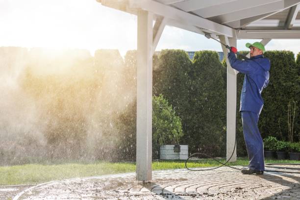 Animal Enclosure Cleaning in South Rockwood, MI