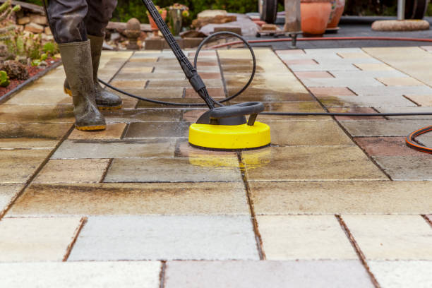 Best Boat and Dock Cleaning  in South Rockwood, MI