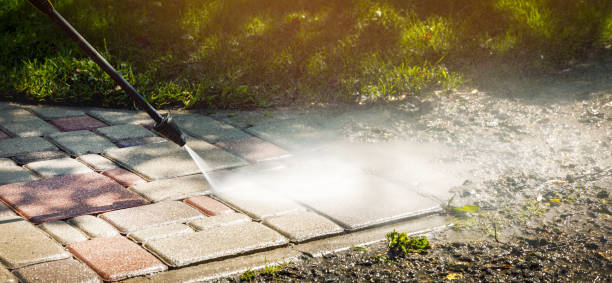 Professional  Pressure Washing Services in South Rockwood, MI
