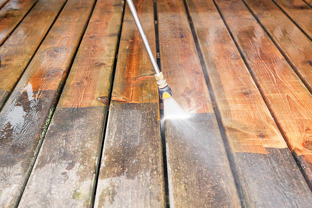 Best Pool Deck Cleaning  in South Rockwood, MI